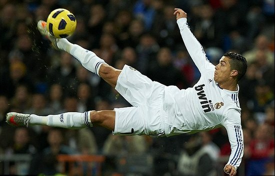 养新生代球 养新生代球