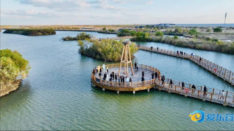 到舒适和适 到舒适和适