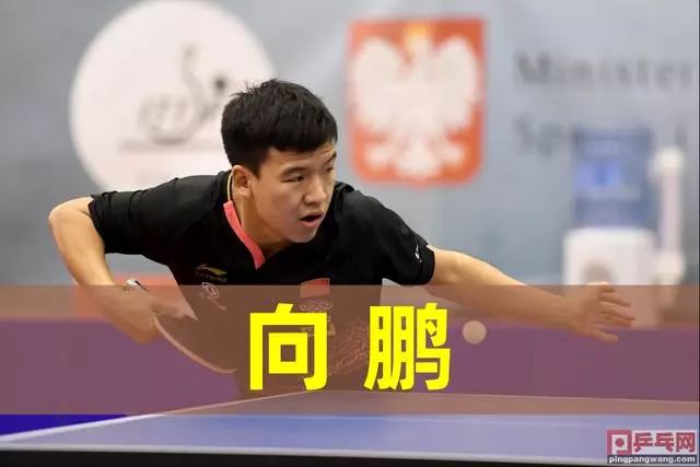 競技領域 競技領域